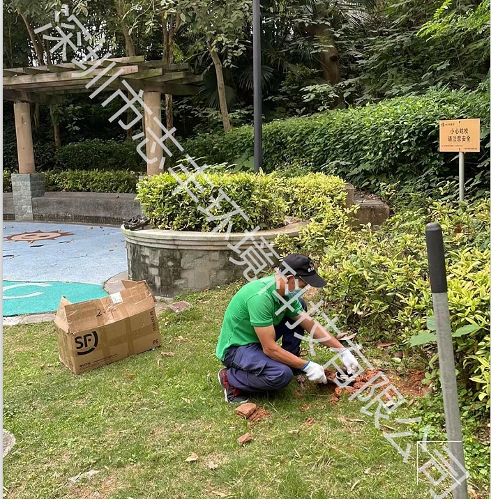 仓储库房的白蚁预防
