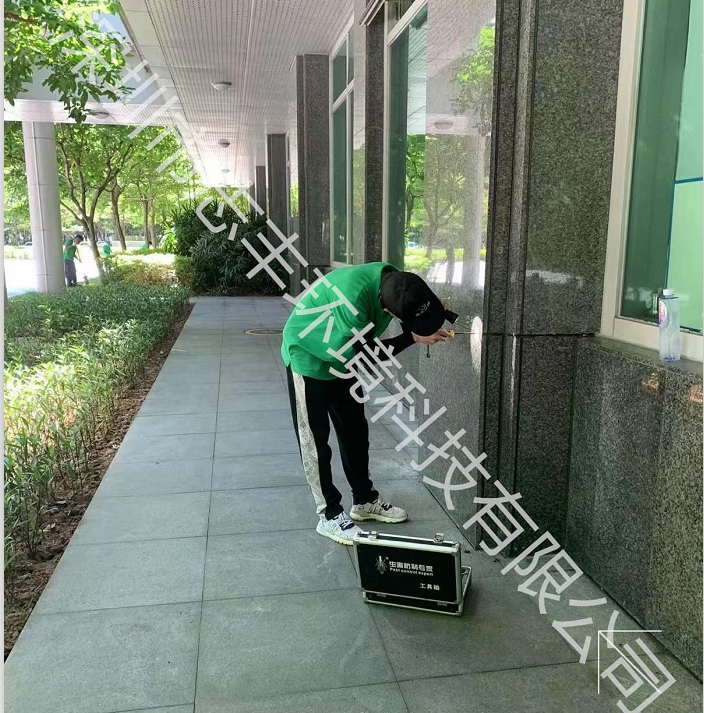 深圳居家办公该如何预防白蚁的危害呢一