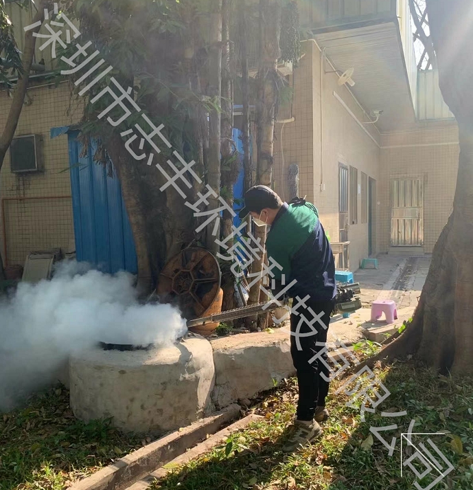 深圳除四害指的是什么？预防四害的必要性有哪些？图二
