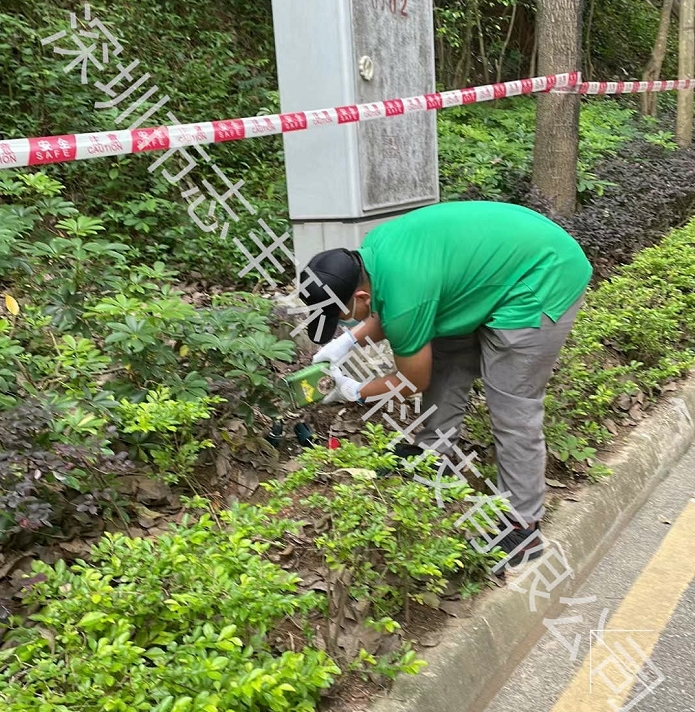 新房和办公室有哪些除甲醛的办法呢